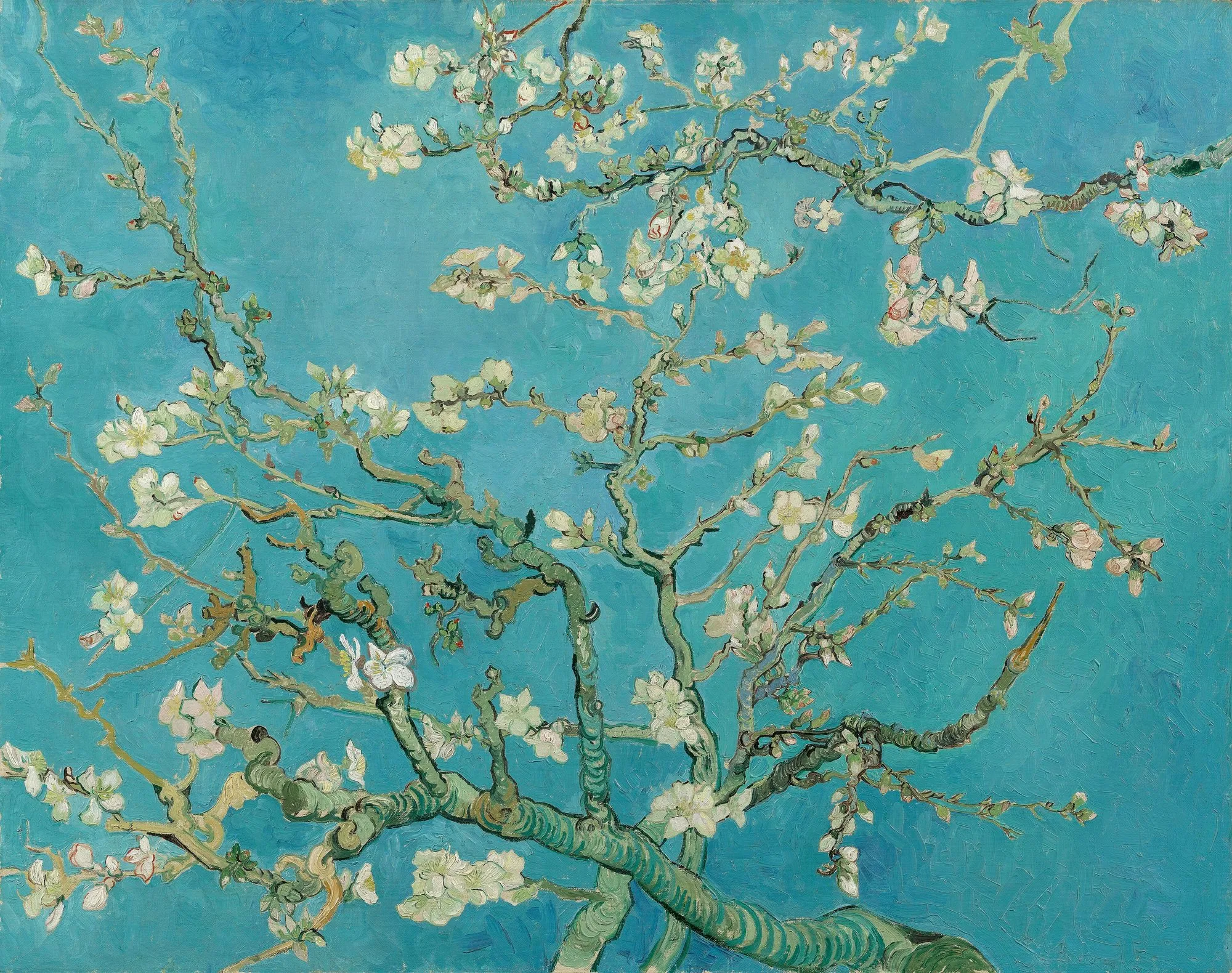 Almond Blossoms by Vincent van Gogh