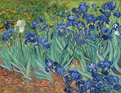 Irises by Vincent van Gogh